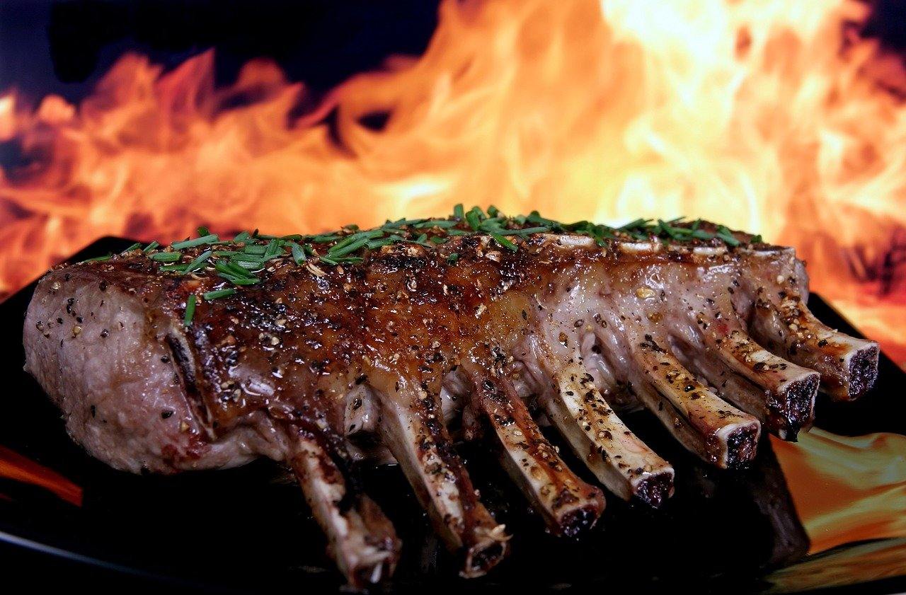 The Best Indoor Outdoor Electric Grill for Delicious Meals Anywhere