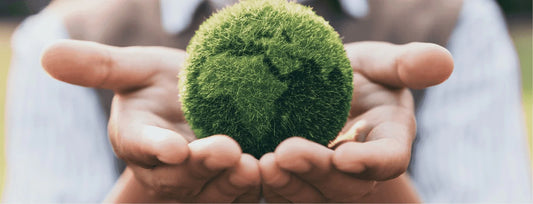 SUSTAINABLE INNOVATION & LIVING GREEN - Ciarra Appliances Global