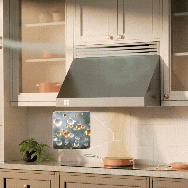 Professional Range Hood