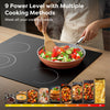 Electric Ceramic Hob